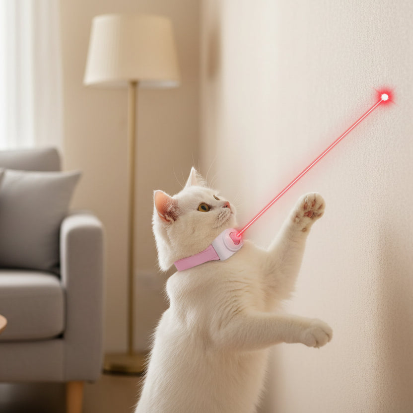 White cat playing with a laser pointer against a blue background